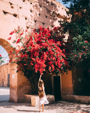 Mang Thiên Nhiên Tới Không Gian Sống Của Bạn