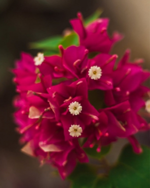 Cải Thiện Sức Khỏe