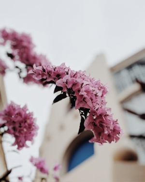 Giảm Thiểu Ô Nhiễm Môi Trường