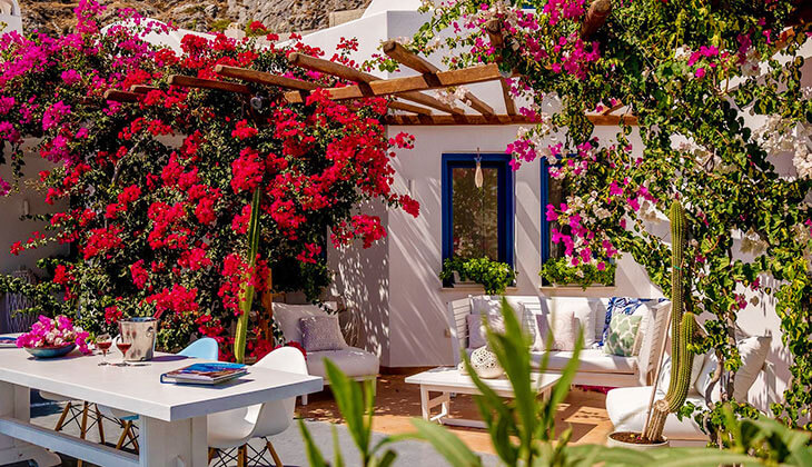 Cây Trồng Biệt Thự Đẹp | Top 10 Loại Cây Cảnh Biệt Thự Được Yêu Thích Nhất